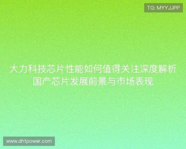 大力科技芯片性能如何值得关注深度解析国产芯片发展前景与市场表现